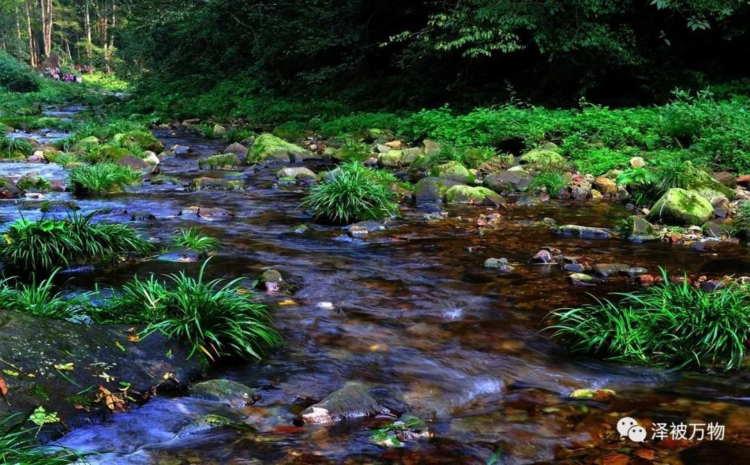司马徽水镜式与湖光映照下的冷热观察
